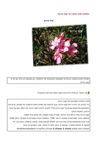 השפעת תנאי סביבה על הדיות עם מיומנויות אקסל מורכבות