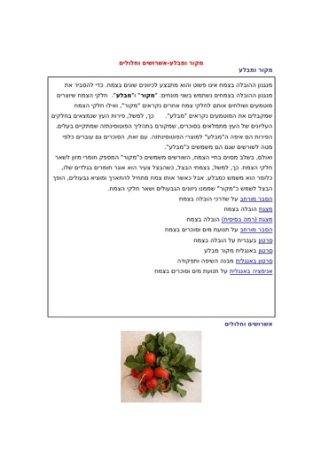 אשרושים וחלחולים (מקור מבלע) עם מיומנויות אקסל פשוטות